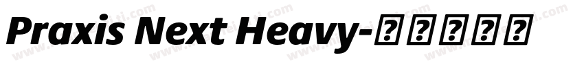 Praxis Next Heavy字体转换